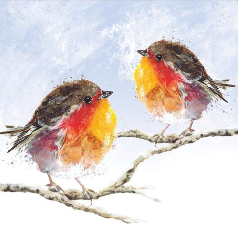 Fluffy Robins