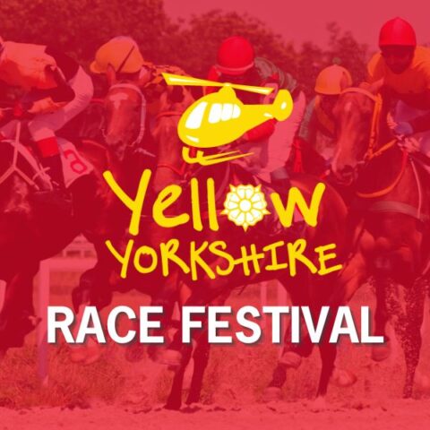 Yellow Yorkshire Race Festival Ticket - Grandstand Entry