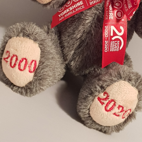 YAA 20th Anniversary Teddy with FREE YAA 20th Anniversary Pin Badge - Image 2