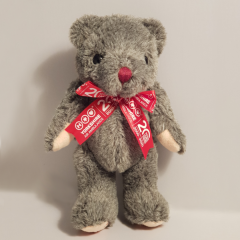 YAA 20th Anniversary Teddy with FREE YAA 20th Anniversary Pin Badge - Image 4